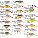 Rapala - Shad Rap SP07